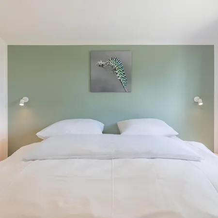 Huus Ipernboom Feriehus